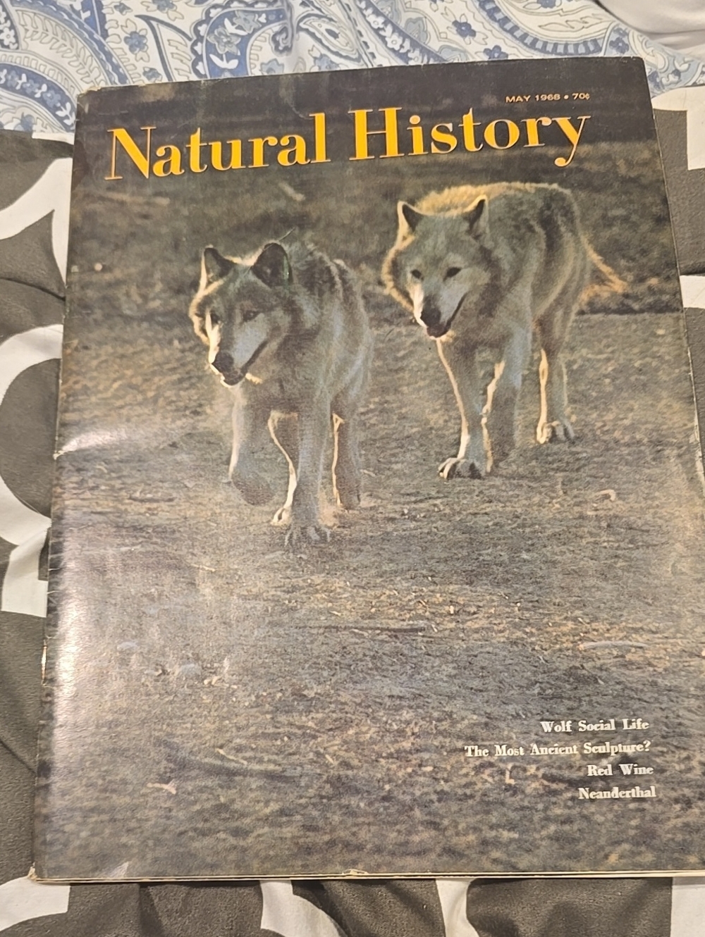 1968 Natural History Wolves Magazine